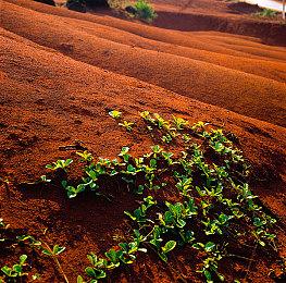 《侏罗纪世界：进化2》最新新实机演示 11月9日发售 